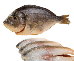 Dorada uzená