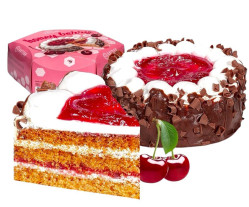Dort Medová bobule s krémem a višňovou vrstvou 500g Vatsak